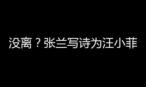汪小大S兰写张没离日 夸赞很美诗为岁生菲庆
